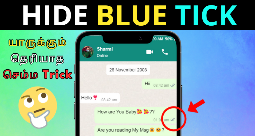 how-to-hide-last-seen-no-blue-ticks-on-whatsapp-messaging