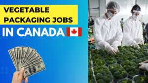 Vegetable Packer Jobs in Canada